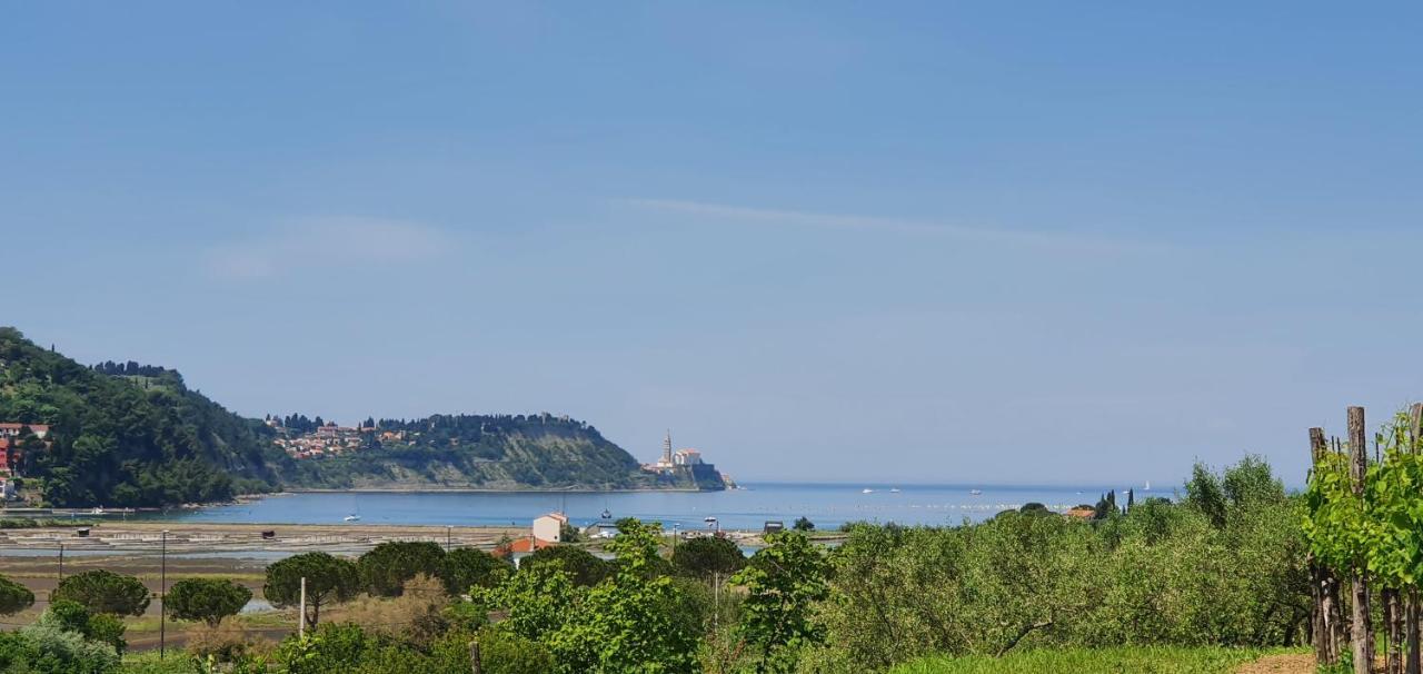 Apartma Nana Strunjan Portorož Exteriér fotografie
